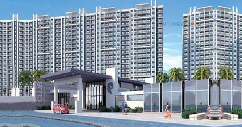 Prozone Palms-cover-06